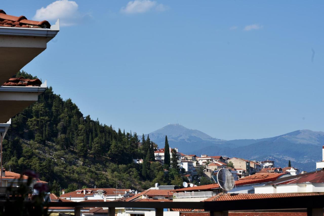Κεντρικό Και Ευρύχωρο Οροφοδιαμέρισμα Kastoria Bagian luar foto